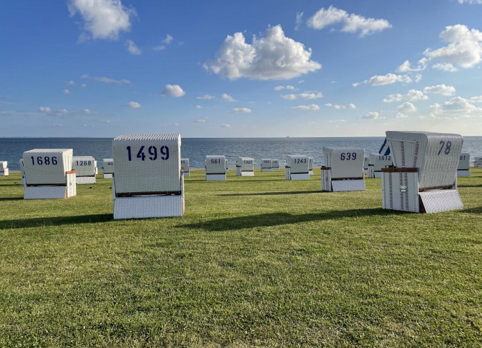 Ferienwohnung Alleestraße 6 